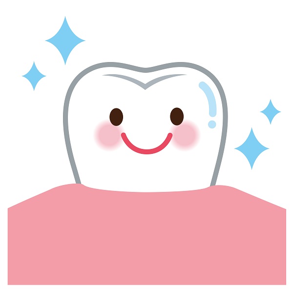 健康な歯のイラスト